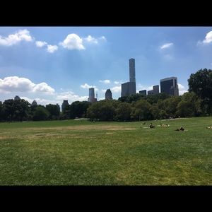 Meet your Posher, Dylan